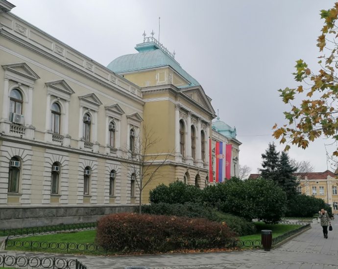 Skupština, Odjek.rs